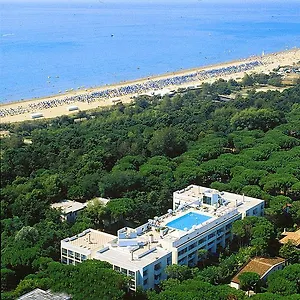 Pine Wood Bibione